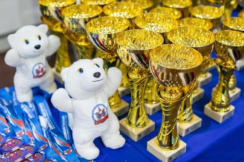Рекордный турнир по самбо «Сибирский богатырь»
